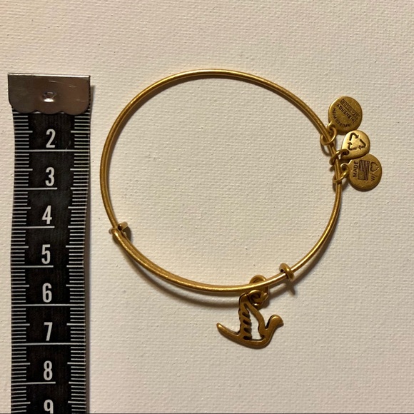 Alex and Ani Charm Bangle - Picture 3 of 5